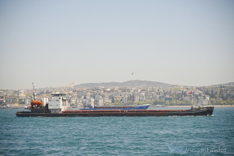 MIKULA SELYANINOVICH photo