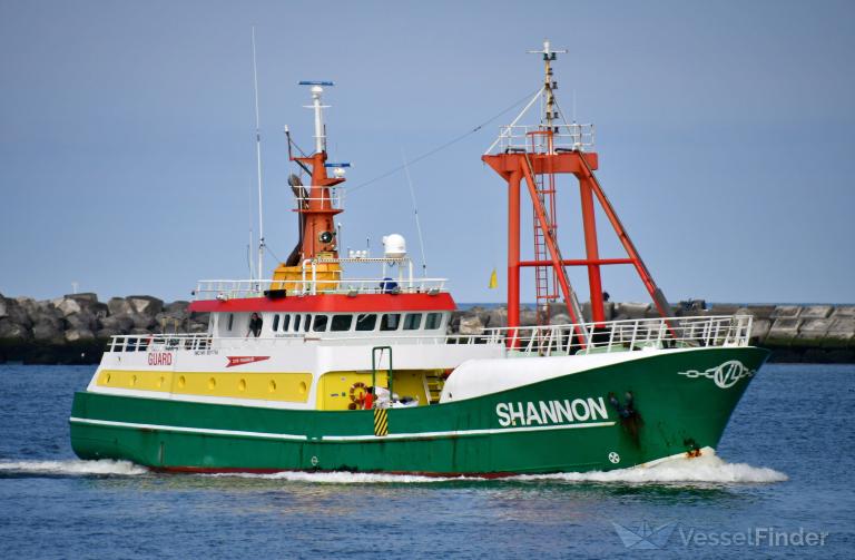 SHANNON photo
