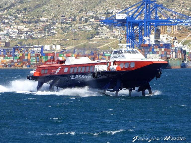 FLYING DOLPHIN XXIX photo