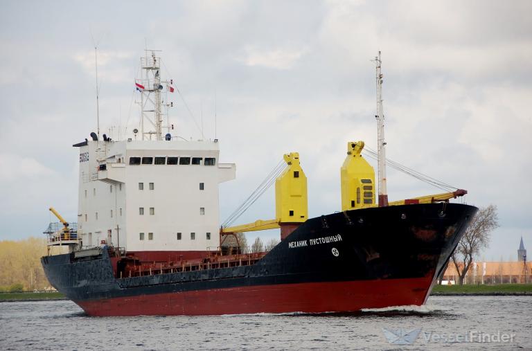 MEKHANIK PUSTOSHNYY photo