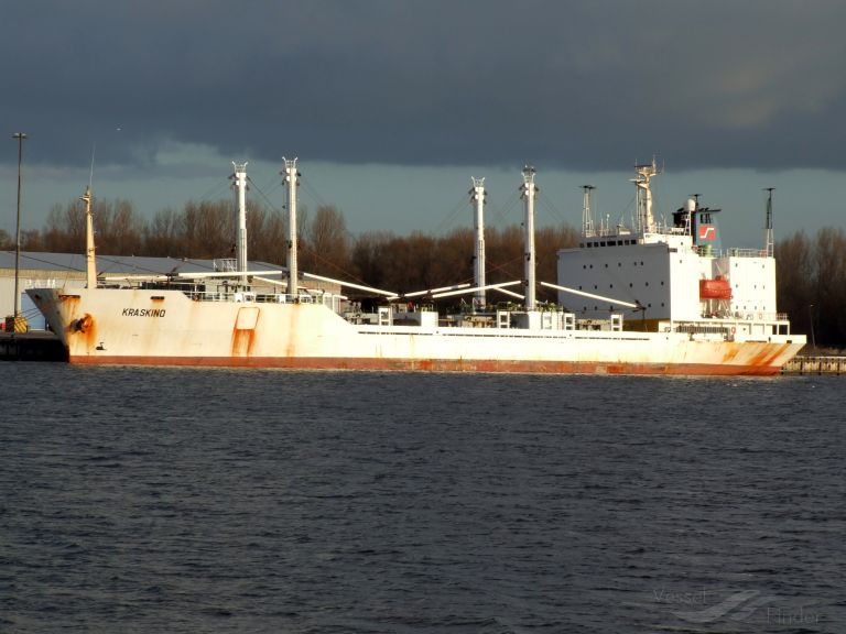 SEIN VENUS photo