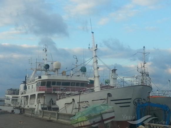 ALNAJMA ALBAIDHA photo