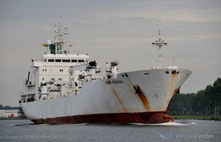 GREEN HONDURAS photo