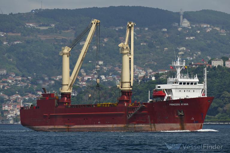 PRINCESS AYANA photo