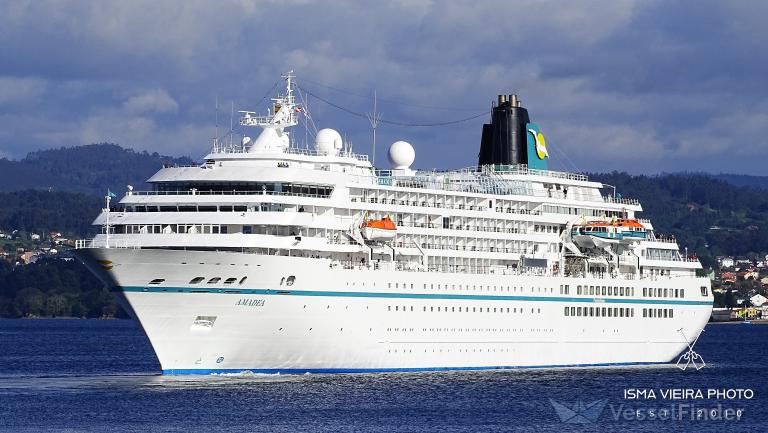 AMADEA photo