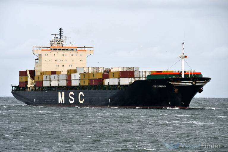 MSC SHANNON III photo