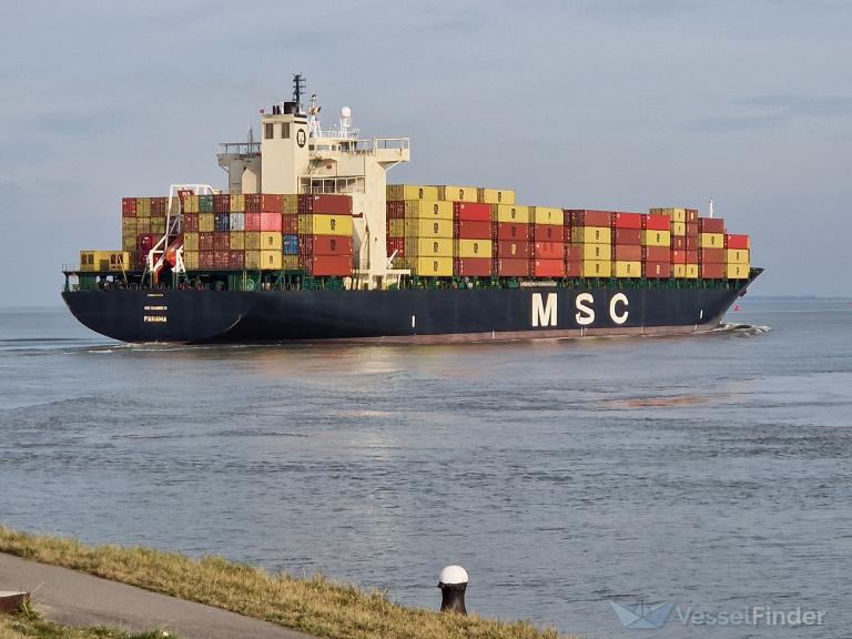 MSC SHANNON III photo