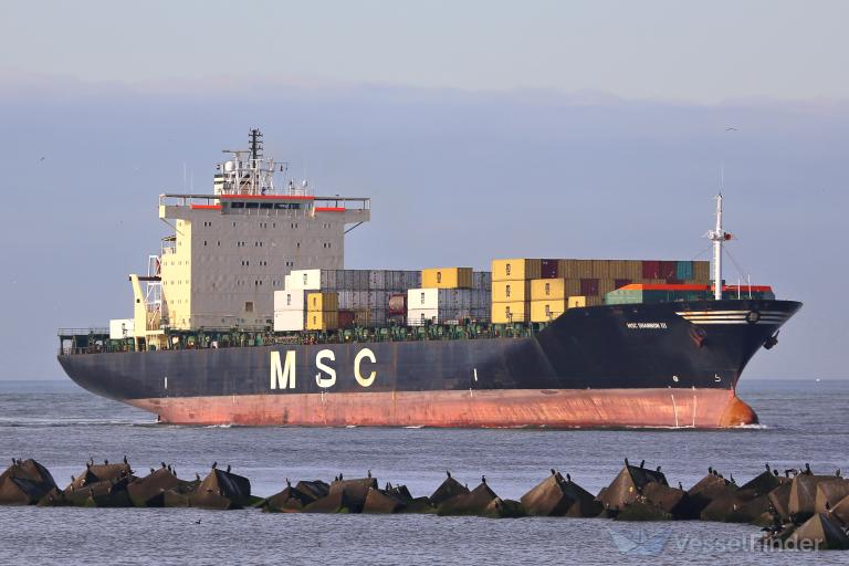 MSC SHANNON III photo
