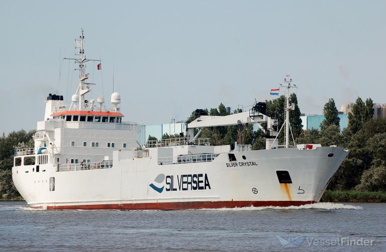 SILVER CRYSTAL photo