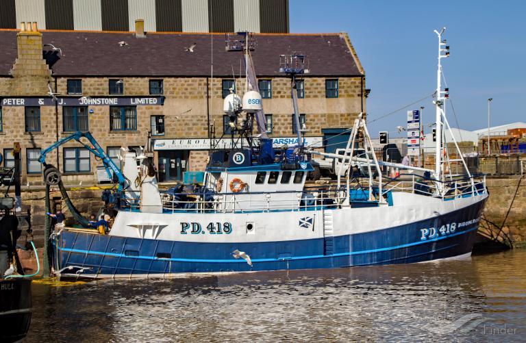 FV BUDDING ROSE photo