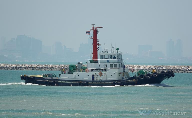 NS309 photo