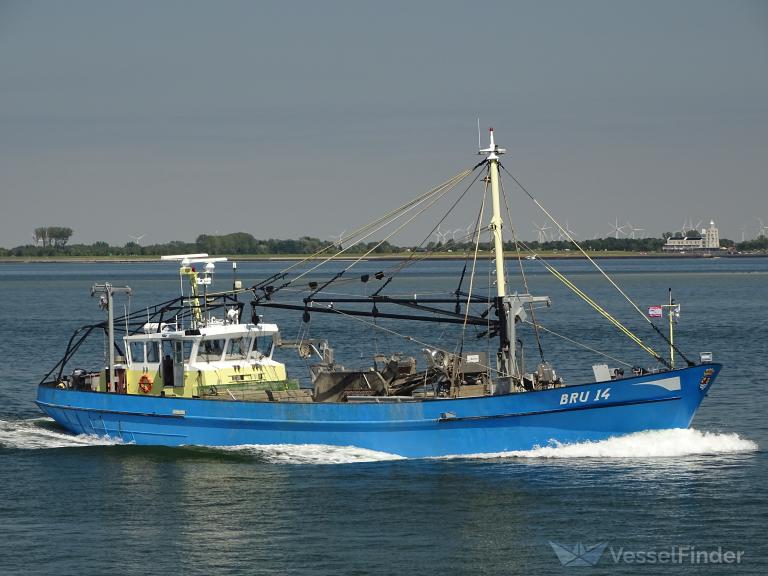 BRU-14 LUCTOR ET EME photo