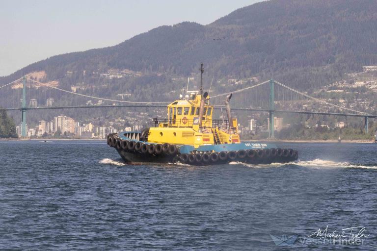 SST TIGER SUN