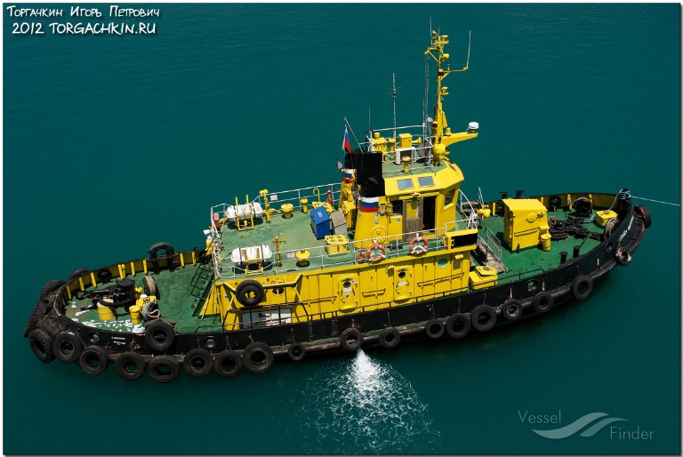 SEMEN SHAPURKO photo