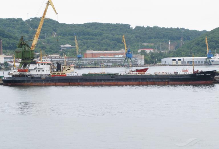 KHUDOZHNIK TSYGANOV photo