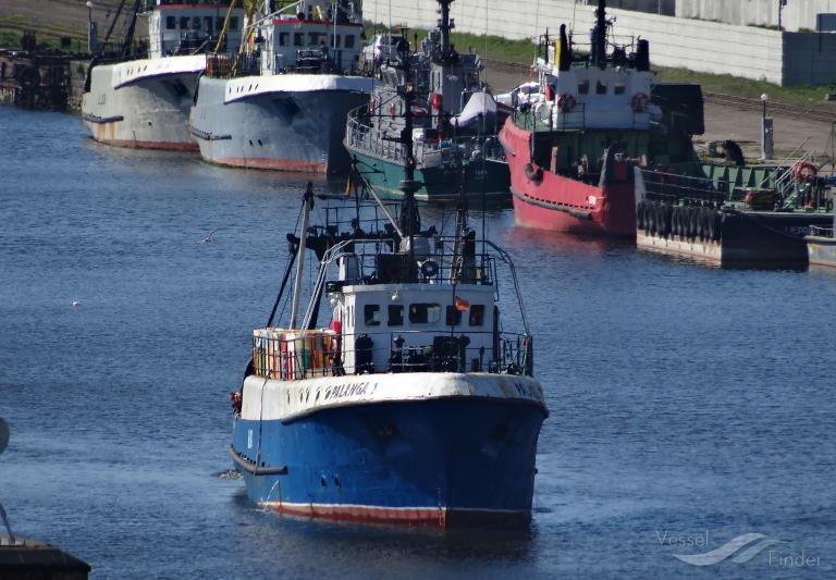DAUGAVA photo