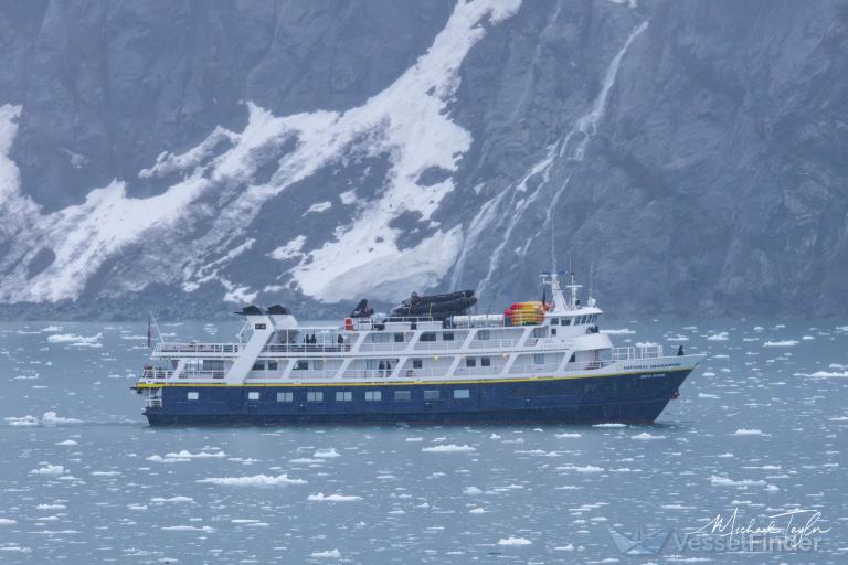 NAT GEO SEA BIRD