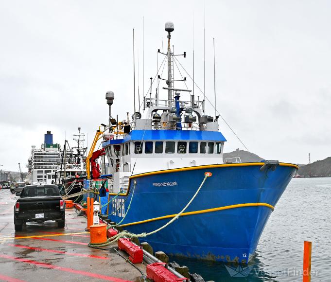 PATRICK AND WILLIAM photo