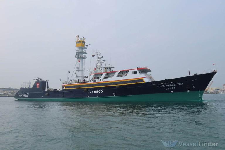FULL FIELD石鯛　海王　525LGAZE 71SJU1XFIUL.jpg_BO30,255,255,