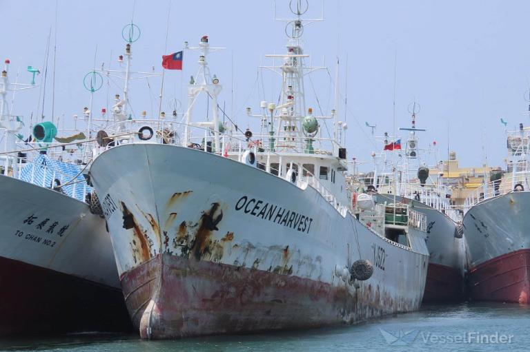 OCEAN HARVEST photo