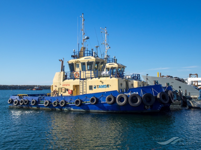 SEAHORSE QUENDA photo