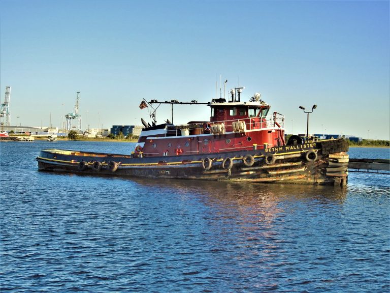 BETH M. MCALLISTER photo