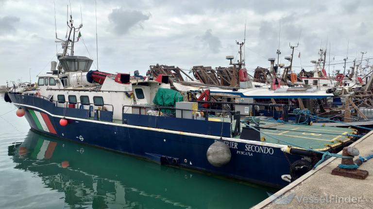 DESTRIERO SECONDO photo