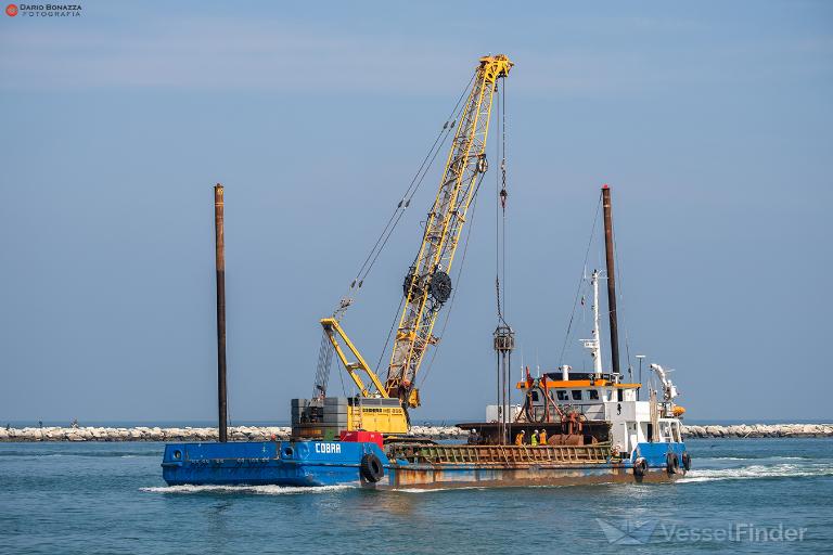 港　漁 ☆新品未使用☆Cobra×VESSEL Free Shipping - COBRA x Vessel Stars Limited Edition Single Strap