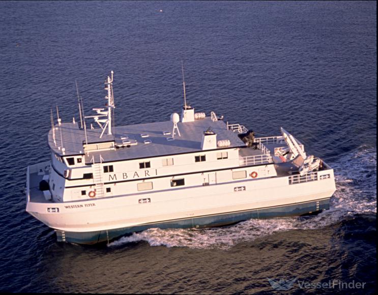 western flyer cruiser