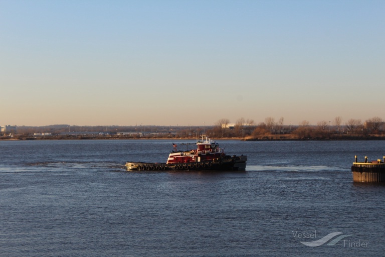 TIMOTHY MCALLISTER photo