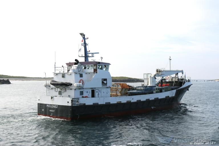 MOLENEZ photo