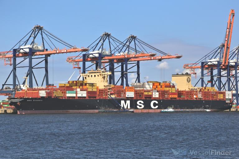MSC EUGENIA photo