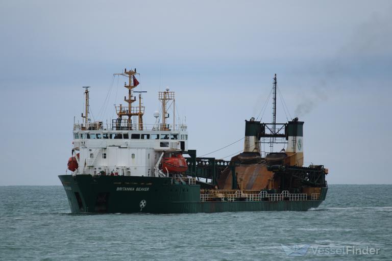 BRITANNIA BEAVER
