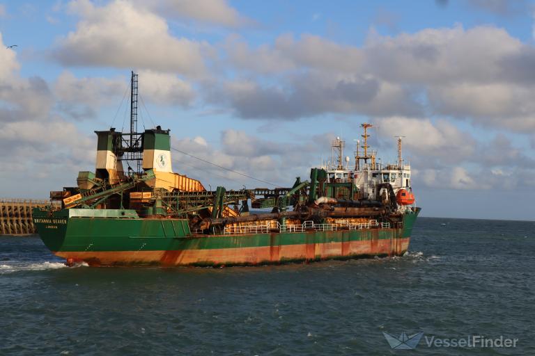 BRITANNIA BEAVER
