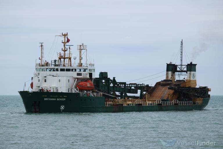BRITANNIA BEAVER