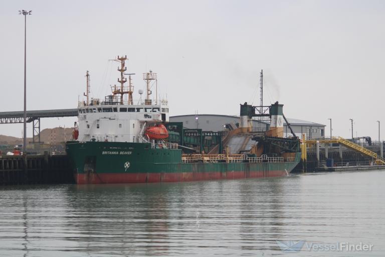 BRITANNIA BEAVER