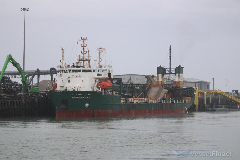 BRITANNIA BEAVER