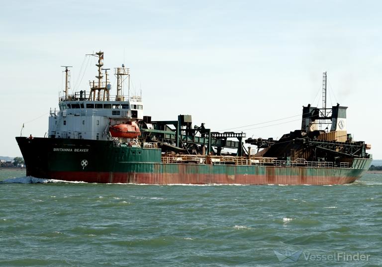 BRITANNIA BEAVER