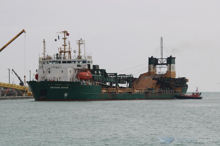 BRITANNIA BEAVER