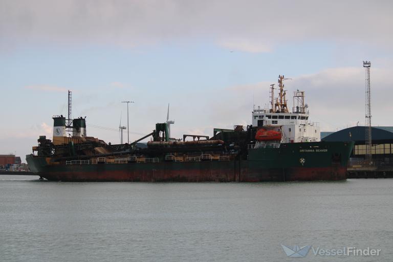 BRITANNIA BEAVER