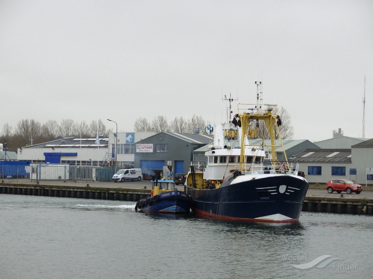 BRAMMEIE photo