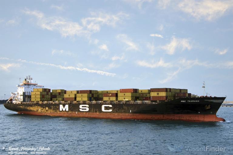 MSC TASMANIA photo
