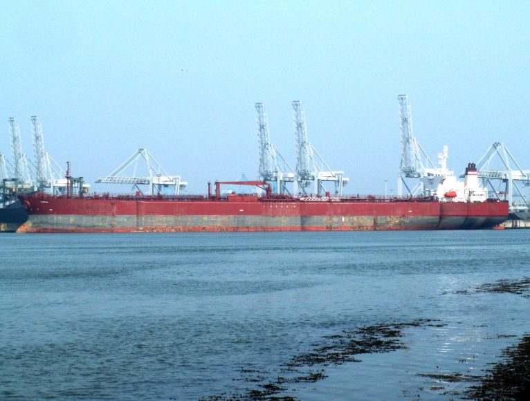 AL MUKHTARAH photo