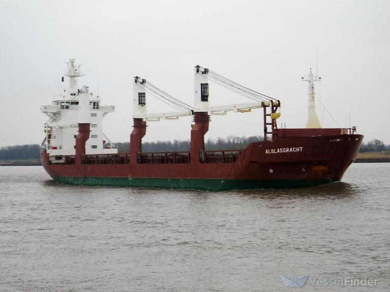 RADIK BASHIROV photo