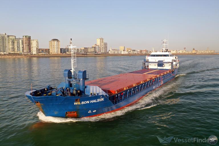 WILSON HALSVIK photo