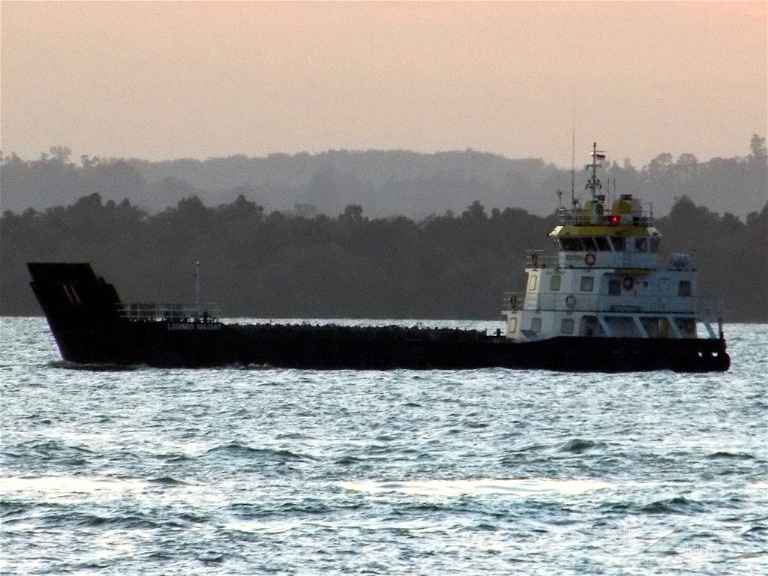 LOGINDO VALIANT photo