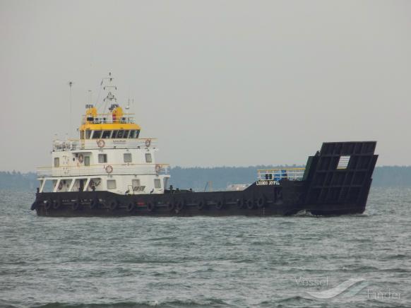 LOGINDO JOYFUL photo