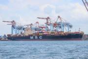MSC-SHAULA