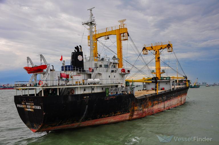 PEGASUS NUSANTARA photo