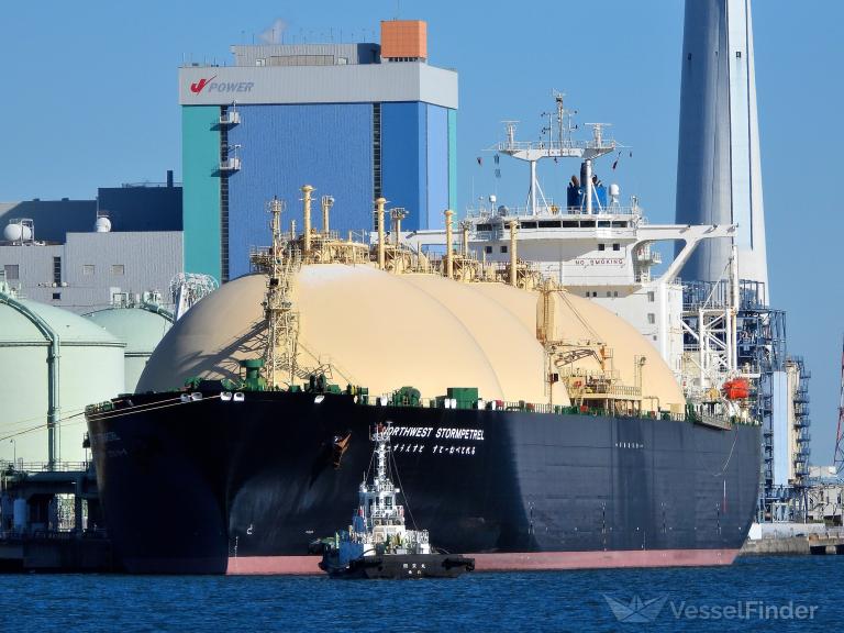 KLNGTP AMERICAS photo